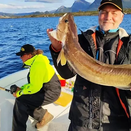 Norway Stabben Tour Villa Tustna