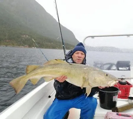 Norway Stabben Tour Villa