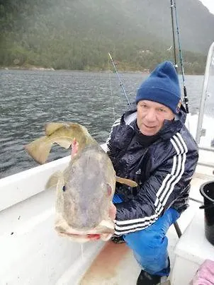 Norway Stabben Tour