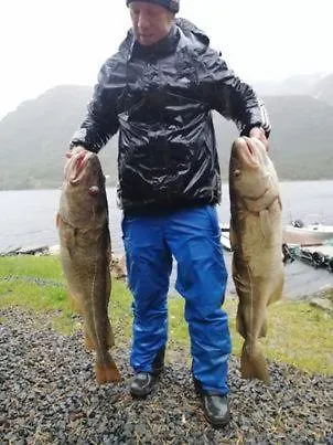 Norway Stabben Tour Tustna