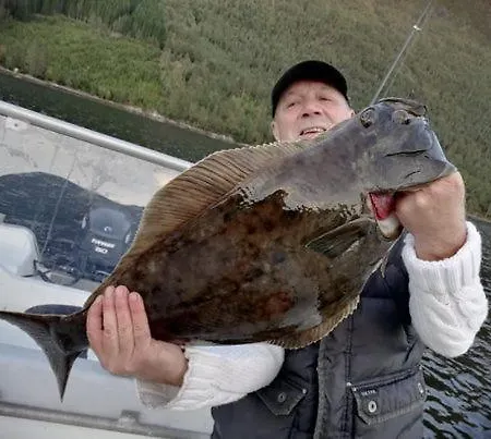 Norway Stabben Tour * Tustna